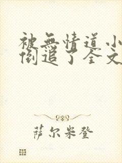 被无情道小师弟倒追了全文免费阅读