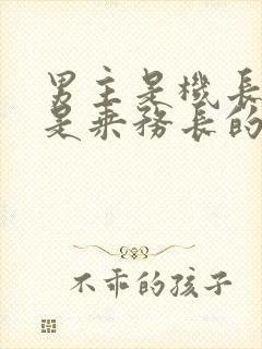 男主是机长女主是乘务长的小说