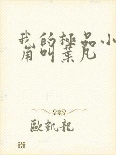 我的极品小姨主角叫叶凡