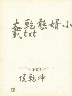 大乾憨婿小说下载txt