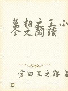 万相之王小说 全文阅读