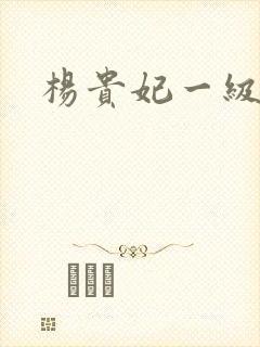 杨贵妃一级淫史