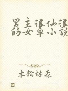 男主很仙很清冷的女尊小说