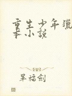 重生少年猎美完本小说