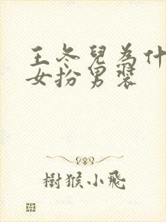 王冬儿为什么要女扮男装