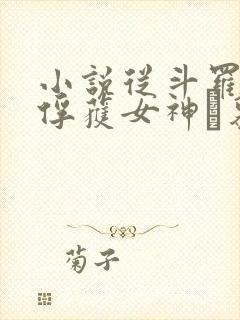 小说从斗罗开始俘获女神鞪慕全文阅