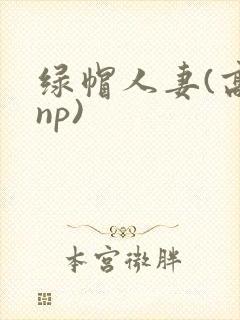 绿帽人妻(高hnp)