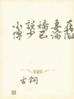 小说娇妻在上:傅少已沦陷全文