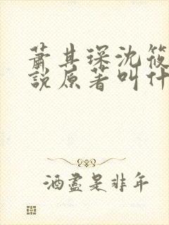 萧其琛沈筱宜小说原著叫什么