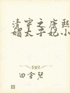 清穿之康熙的娇媚太子妃小说封面