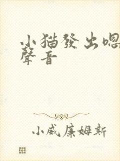 小猫发出嗯哼的声音