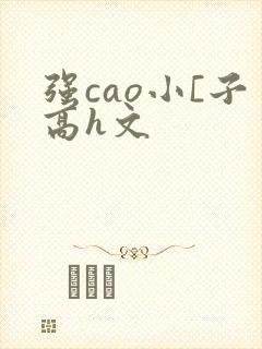 强cao小[子高h文