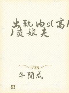 出轨内s(高h)爽姐夫