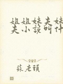 姐姐妹夫妹妹姐夫小说叫什么