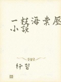 一枝海棠压梨花小说