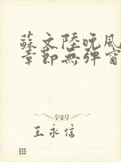 苏文陆晚风最新章节无弹窗笔趣阁