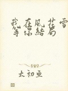 我在风花雪月里等你结局
