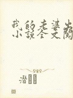 我的老婆出轨了小说全文阅读