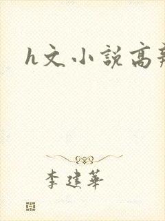 h文小说高辣