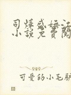 司烨盛妩江枕鸿小说免费阅读