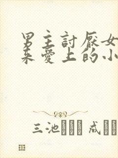 男主讨厌女主后来爱上的小说