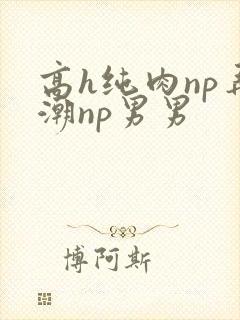 高h纯肉np弄潮np男男