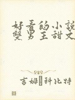 好看的小说推荐双男主甜文