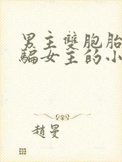 男主双胞胎兄弟骗女主的小说