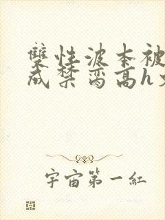 双性波本被调教成禁脔高h文