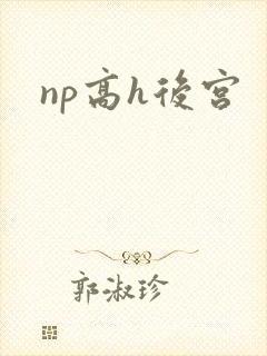 np高h后宫