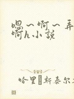 嗯～啊～弄嗯～啊h小说封面