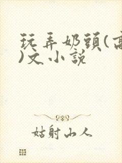 玩弄奶头(高h)文小说