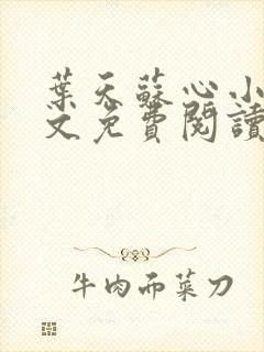 叶天苏心小说全文免费阅读无弹窗