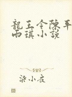 龙王令陈平,苏雨琪小说