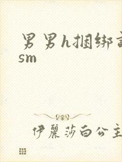 男男h捆绑调教sm封面