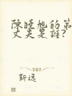 陈晓旭的第一任丈夫是谁?封面