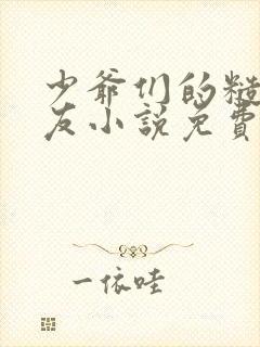 少爷们的糙汉室友小说免费阅读