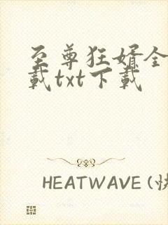 至尊狂婿全文下载txt下载