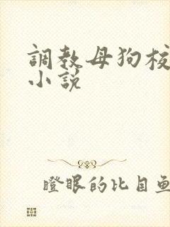 调教母狗校花的小说