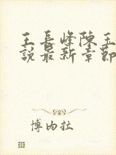 王长峰陈玉娆小说最新章节更新内容封面