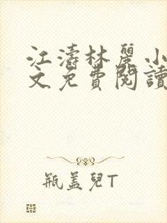 江涛林丽小说全文免费阅读最新章节封面