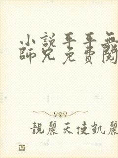 小说平平无奇大师兄免费阅读