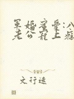 军婚蜜爱:八零老公宠上瘾小说在线封面