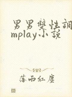 男男双性调教smplay小说