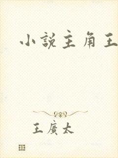 小说主角王林封面