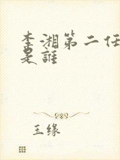 李湘第二任丈夫是谁