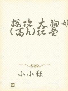 总攻 大胸奶汁(高h)玩受