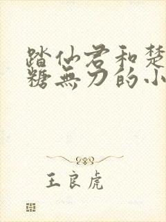 踏仙君和楚妃全糖无刀的小说