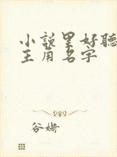 小说里好听的女主角名字