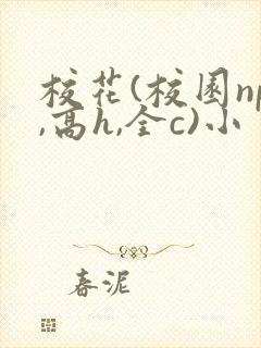 校花(校园np,高h,全c)小